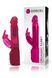 Вібратор-кролик Dorcel Orgasmic Rabbit Pink з перлинним масажем в інтим-бутику EroticToys