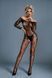 Бодістокінг Caprice Lingerie Model 10 One size Black, мереживо, відкритий доступ, довгий рукав в інтим-бутику EroticToys