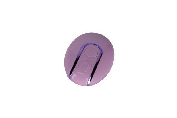Вібратор для пар FairyGasm PleasureBerry violet, зарядний кейс, пульт ДК &mdash; купити в інтим-бутику EroticToys