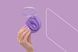 Вібратор для пар FairyGasm PleasureBerry violet, зарядний кейс, пульт ДК в інтим-бутику EroticToys