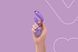 Вібратор для пар FairyGasm PleasureBerry violet, зарядний кейс, пульт ДК в інтим-бутику EroticToys