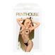 Бодістокінг у велику сітку Penthouse - Body Search Black S/L в інтим-бутику EroticToys