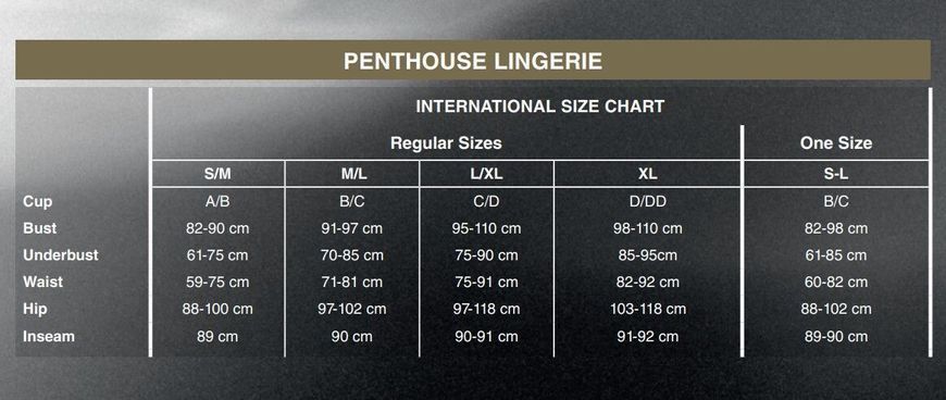 Боді Penthouse Salute Me XL Black (дефекти на пакованні!!!) &mdash; купити в інтим-бутику EroticToys