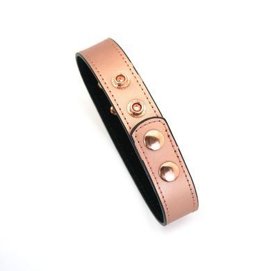 Нашийник із затискачами для сосків Liebe Seele Rose Gold Memory Collar with Nipple Clamps, шкіра &mdash; купити в інтим-бутику EroticToys