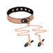 Нашийник із затискачами для сосків Liebe Seele Rose Gold Memory Collar with Nipple Clamps, шкіра в інтим-бутику EroticToys