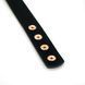 Нашийник із затискачами для сосків Liebe Seele Rose Gold Memory Collar with Nipple Clamps, шкіра в інтим-бутику EroticToys