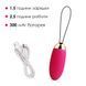 Віброяйце з пультом керування Svakom Elva Plum Red в інтим-бутику EroticToys