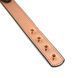 Нашийник із затискачами для сосків Liebe Seele Rose Gold Memory Collar with Nipple Clamps, шкіра в інтим-бутику EroticToys