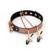 Нашийник із затискачами для сосків Liebe Seele Rose Gold Memory Collar with Nipple Clamps, шкіра в інтим-бутику EroticToys