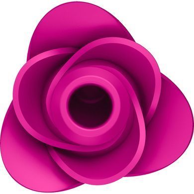 Вакуумний кліторальний стимулятор Satisfyer Pro 2 Modern Blossom, технологія Liquid Air &mdash; купити в інтим-бутику EroticToys