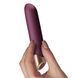 Вібратор Climaximum Miyana в інтим-бутику EroticToys