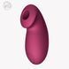 Вакуумний стимулятор Fun Factory Desire Wine Red, 11 режимів роботи, перезаряджуваний в інтим-бутику EroticToys
