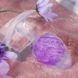 Анальна пробка Liebe Seele Icecream-shaped Crystal Anal Plug - Purple Medium в інтим-бутику EroticToys