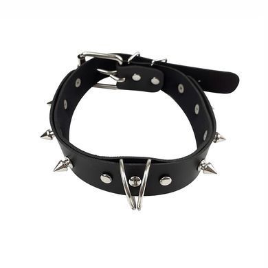 Нашийник з шипами та повідцем Art of Sex - Collar Spikes and Leash &mdash; купити в інтим-бутику EroticToys