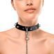 Нашийник з шипами та повідцем Art of Sex - Collar Spikes and Leash в інтим-бутику EroticToys