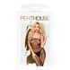 Бодістокінг з панчохами та геометричним малюнком Penthouse - Firecracker Black S/L в інтим-бутику EroticToys