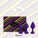 Набір силіконових анальних пробок FeelzToys - Bibi Butt Plug Set 3 pcs Purple в інтим-бутику EroticToys