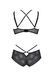 Комплект Passion DROSERA BIKINI black, XXL/XXXL, бюстгальтер і трусики-кюлоти в інтим-бутику EroticToys