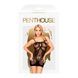 Міні-сукня сітка Penthouse - Above & Beyond Black S-L в інтим-бутику EroticToys