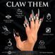 Набір кілець з кігтями Master Series Five-Piece Sensation Claw Rings - Silver в інтим-бутику EroticToys