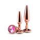 Набір анальних пробок NS Novelties Rear Assets - Tapered Trainer Kit - Rose Gold - Pink в інтим-бутику EroticToys