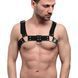 Чоловіча портупея на груди Feral Feelings - Bulldog Harness Black в інтим-бутику EroticToys