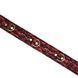 Нашийник з повідцем Liebe Seele Victorian Garden Collar with Leash в інтим-бутику EroticToys