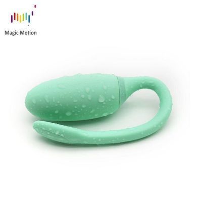 Смарт-тренажер Кегеля Magic Motion Kegel Rejuve, бюджетний варіант, для тренувань і задоволення &mdash; купити в інтим-бутику EroticToys