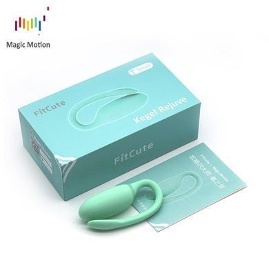 Смарт-тренажер Кегеля Magic Motion Kegel Rejuve, бюджетний варіант, для тренувань і задоволення &mdash; купити в інтим-бутику EroticToys