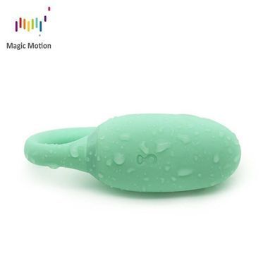 Смарт-тренажер Кегеля Magic Motion Kegel Rejuve, бюджетний варіант, для тренувань і задоволення &mdash; купити в інтим-бутику EroticToys
