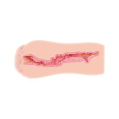 Мастурбатор-вагіна двошаровий Kokos Sanda Double Layer &mdash; купити в інтим-бутику EroticToys