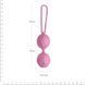Вагінальні кульки Adrien Lastic Geisha Lastic Balls Mini Pink (S), діаметр 3,4 см, маса 85 г в інтим-бутику EroticToys
