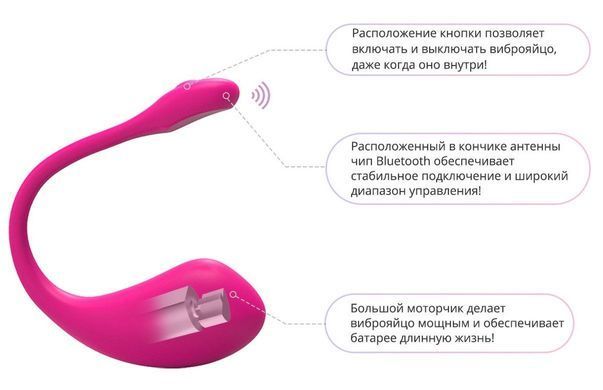 Смарт-віброяйце Lovense Lush 2 &mdash; купити в інтим-бутику EroticToys